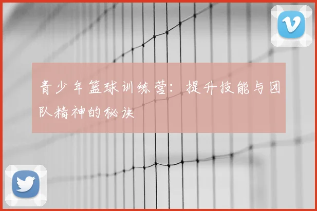 青少年篮球训练营:提升技能与团队精神的秘诀